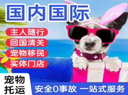 山南隆子航空运输国际宠物托运 【国